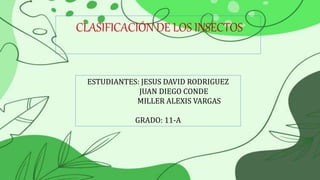 CLASIFICACIÓN DE LOS INSECTOS
ESTUDIANTES: JESUS DAVID RODRIGUEZ
JUAN DIEGO CONDE
MILLER ALEXIS VARGAS
GRADO: 11-A
 