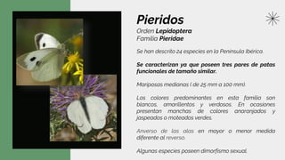 Pieridos
Orden Lepidoptera
Familia Pieridae
Se han descrito 24 especies en la Península Ibérica.
Se caracterizan ya que poseen tres pares de patas
funcionales de tamaño similar.
Mariposas medianas ( de 25 mm a 100 mm).
Los colores predominantes en esta familia son
blancos, amarillentos y verdosos. En ocasiones
presentan manchas de colores anaranjados y
jaspeados o moteados verdes.
Anverso de las alas en mayor o menor medida
diferente al reverso.
Algunas especies poseen dimorfismo sexual.
 