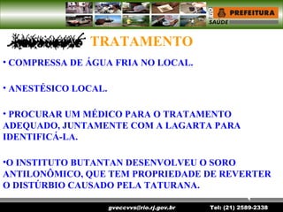 gveccvvs@rio.rj.gov.br Tel: (21) 2589-2338
TRATAMENTO
• COMPRESSA DE ÁGUA FRIA NO LOCAL.
• ANESTÉSICO LOCAL.
• PROCURAR UM MÉDICO PARA O TRATAMENTO
ADEQUADO, JUNTAMENTE COM A LAGARTA PARA
IDENTIFICÁ-LA.
•O INSTITUTO BUTANTAN DESENVOLVEU O SORO
ANTILONÔMICO, QUE TEM PROPRIEDADE DE REVERTER
O DISTÚRBIO CAUSADO PELA TATURANA.
 