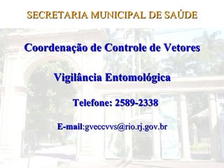 gveccvvs@rio.rj.gov.br Tel: (21) 2589-2338
SECRETARIA MUNICIPAL DE SAÚDESECRETARIA MUNICIPAL DE SAÚDE
Coordenação de Controle de VetoresCoordenação de Controle de Vetores
Vigilância EntomológicaVigilância Entomológica
Telefone: 2589-2338Telefone: 2589-2338
E-mailE-mail:gveccvvs@rio.rj.gov.br:gveccvvs@rio.rj.gov.br
 