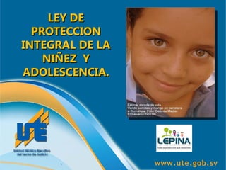 LEY DE
  PROTECCION
INTEGRAL DE LA
    NIÑEZ Y
ADOLESCENCIA.
 