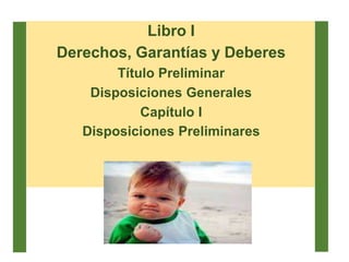 Libro I
Derechos, Garantías y Deberes
Título Preliminar
Disposiciones Generales
Capítulo I
Disposiciones Preliminares
 
