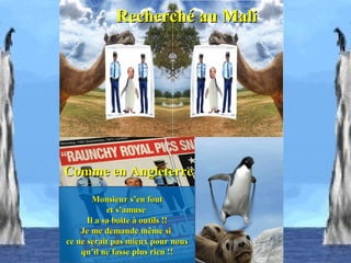 Recherché au Mali




Comme en Angleterre
        Monsieur s’en fout
            et s’amuse
      Il a sa boite à outils !!
    Je me demande même si
ce ne serait pas mieux pour nous
    qu’il ne fasse plus rien !!
 