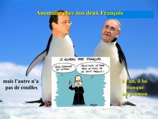 Anomalie chez nos deux François Royale
                                           Ségolène Trierweiler
                                            Anne Hidalgo
                                              Valérie
Meilleur oxymore:
 Vouloir accoler
   socialiste et
     moralité




mais l’autre n’a                                               à l’un, il lui
 pas de couilles                                                 manque
                                                               un poumon


Ouaihh, avec toutes ces pingouines, il n’est pas prêt de s’occuper de la France !
 