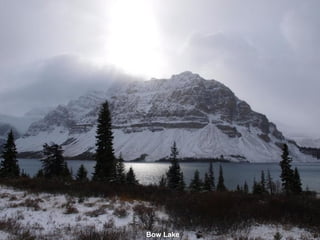 Bow Lake
 