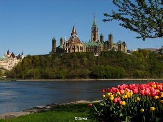 Ottawa
 