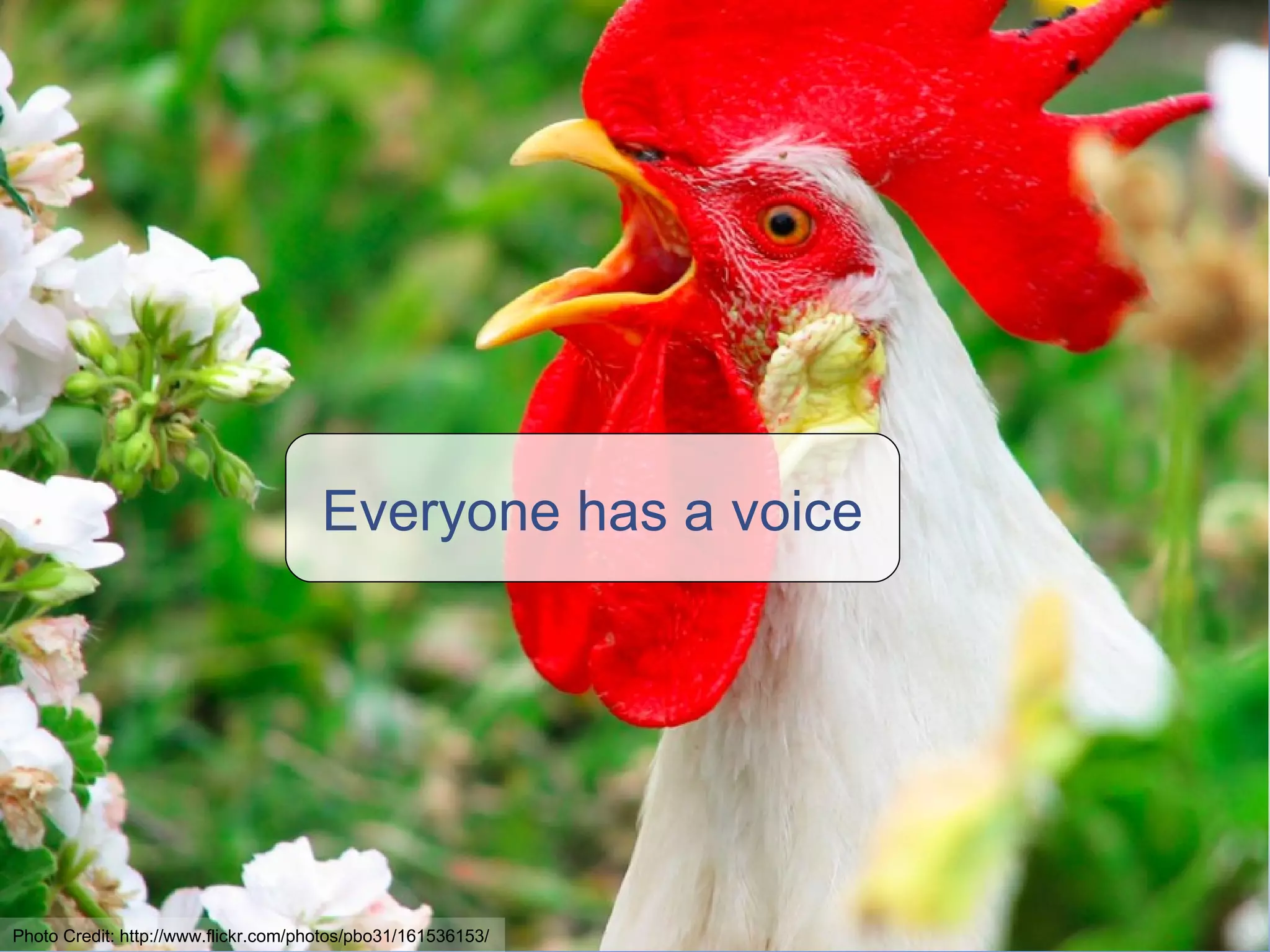 Everyone has a voice Photo Credit: http://www.flickr.com/photos/pbo31/161536153/ 
