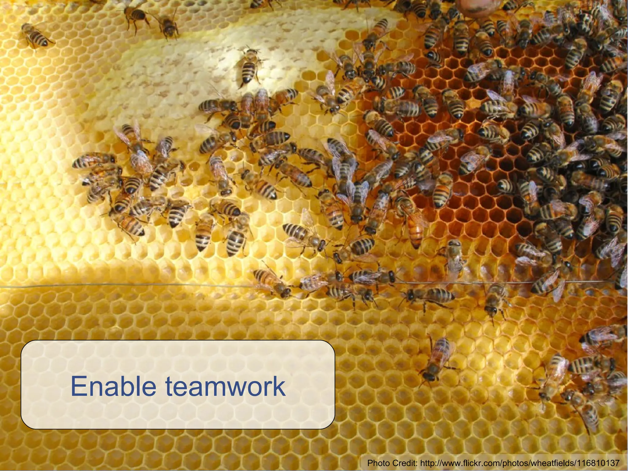 Enable teamwork Photo Credit: http://www.flickr.com/photos/wheatfields/116810137 