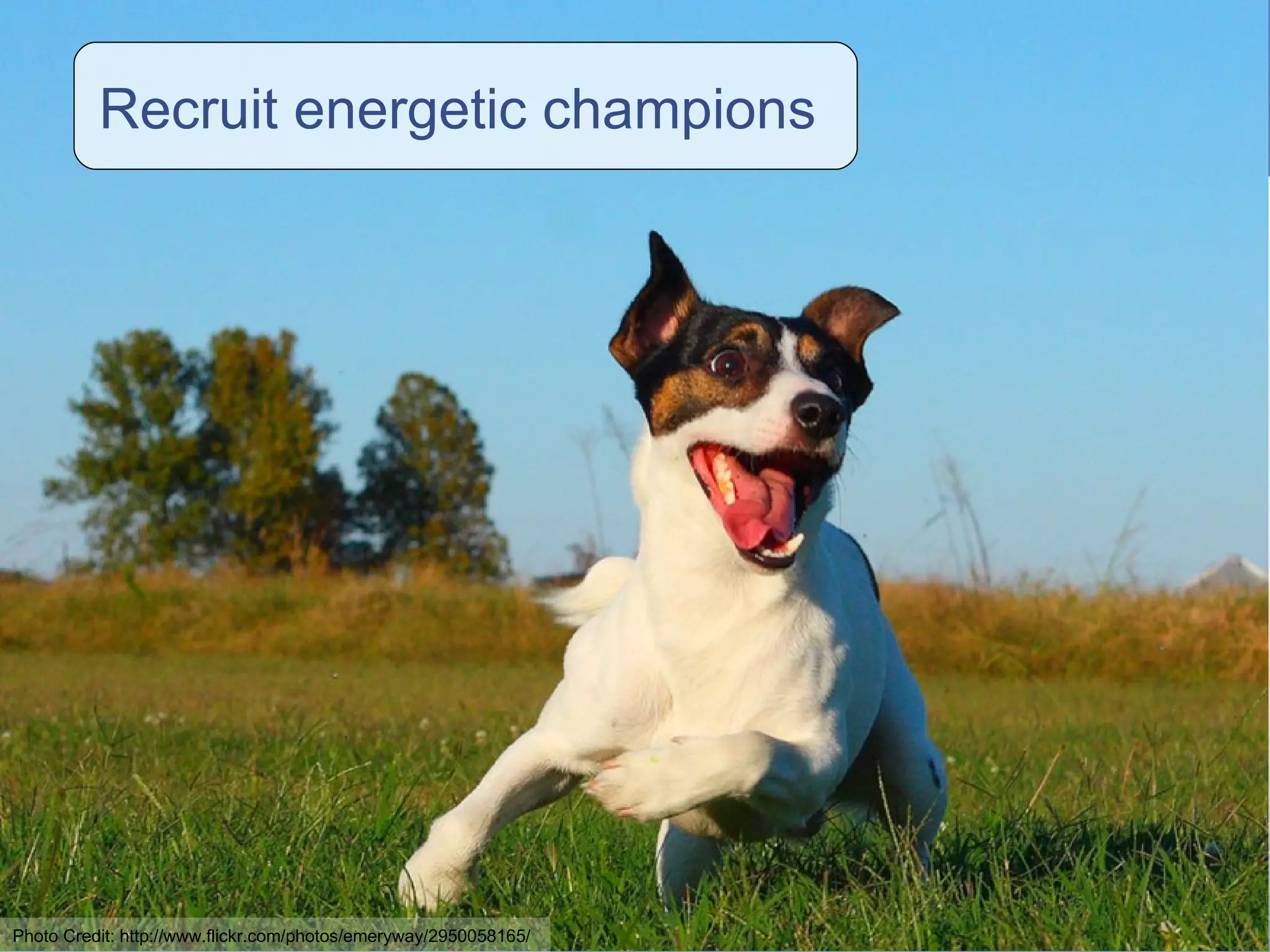 Recruit energetic champions  Photo Credit: http://www.flickr.com/photos/emeryway/2950058165/ 