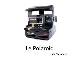 Le Polaroid Oana Stefanescu 