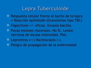    Respuesta celular frente al bacilo de la lepra
    = Reacción epiteliode (Granulomas tipo TBC)
   Fagocitosis +/- eficaz. Escasos bacilos.
   Pocas lesiones viscerales. No IC. Lesión
    nerviosa de escasa intensidad. Piel.
   Lepromina (++) Baciloscopia (-).
   Peligro de propagación de la enfermedad
 