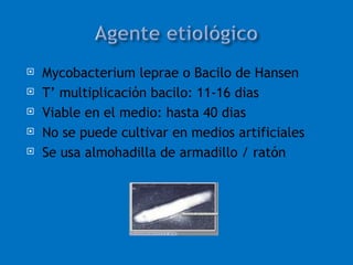    Mycobacterium leprae o Bacilo de Hansen
   T’ multiplicación bacilo: 11-16 dias
   Viable en el medio: hasta 40 dias
   No se puede cultivar en medios artificiales
   Se usa almohadilla de armadillo / ratón
 