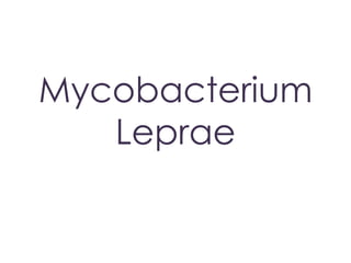 Mycobacterium
Leprae
 