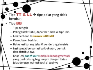 • Tipe TT & LL  tipe polar yang tidak
berubah
• Tipe BB
–
–
–
–
–
–

Tipe tengah
Paling tidak stabil, dapat berubah ke tipe lain
Lesi berbentuk makula infiltratif
Permukaan berkilat
Batas lesi kurang jelas & cenderung simetris
Lesi sangat bervariasi baik ukuran, bentuk
dan distribusinya
– Khas lesi punch out = makula hipopigmentasi
yang oval cekung bag tengah dengan batas
jelas dengan lesi-lesi kecil di tepinya

 