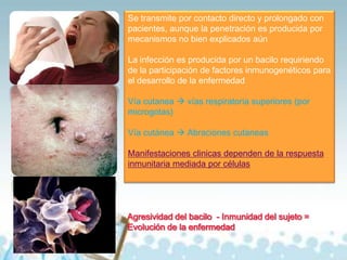 Se transmite por contacto directo y prolongado con
pacientes, aunque la penetración es producida por
mecanismos no bien explicados aún
La infección es producida por un bacilo requiriendo
de la participación de factores inmunogenéticos para
el desarrollo de la enfermedad
Vía cutanea  vías respiratoria superiores (por
microgotas)
Vía cutánea  Abraciones cutaneas
Manifestaciones clinicas dependen de la respuesta
inmunitaria mediada por células

Agresividad del bacilo - Inmunidad del sujeto =
Evolución de la enfermedad

 