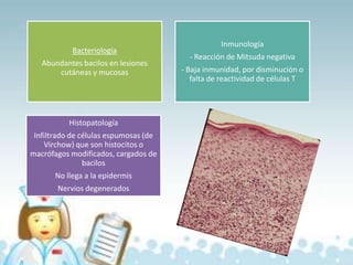 Bacteriología
Abundantes bacilos en lesiones
cutáneas y mucosas

Histopatología
Infiltrado de células espumosas (de
Virchow) que son histocitos o
macrófagos modificados, cargados de
bacilos
No llega a la epidermis
Nervios degenerados

Inmunología
- Reacción de Mitsuda negativa
- Baja inmunidad, por disminución o
falta de reactividad de células T

 