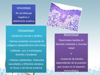 Inmunología
Rx de Mitsuda
negativa o
debilmente positiva
Histopatología

- Epidermis normal o atrófica

Bacteriología

- Dermis presenta una banda de

Nuemrosos bacilos en

colágeno sebepidérmica (de Unna)
-Infiltrado con 2 morfologias:

lesones cutaneas y mucosa

nasal

dimorfa o bivalente

o

- Céliulas epitelioides, histiocitos

- Ausencia de bacilos

vacuolados y linfocitos escasos,
en focos o de forma continua

dependiendo de la posición

que ocupe en el espectro
inmunológico

 