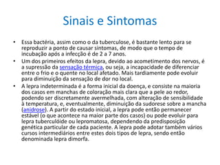 Sinais e Sintomas
• Essa bactéria, assim como o da tuberculose, é bastante lento para se
reproduzir a ponto de causar sintomas, de modo que o tempo de
incubação após a infecção é de 2 a 7 anos.
• Um dos primeiros efeitos da lepra, devido ao acometimento dos nervos, é
a supressão da sensação térmica, ou seja, a incapacidade de diferenciar
entre o frio e o quente no local afetado. Mais tardiamente pode evoluir
para diminuição da sensação de dor no local.
• A lepra indeterminada é a forma inicial da doença, e consiste na maioria
dos casos em manchas de coloração mais clara que a pele ao redor,
podendo ser discretamente avermelhada, com alteração de sensibilidade
à temperatura, e, eventualmente, diminuição da sudorese sobre a mancha
(anidrose). A partir do estado inicial, a lepra pode então permanecer
estável (o que acontece na maior parte dos casos) ou pode evoluir para
lepra tuberculóide ou lepromatosa, dependendo da predisposição
genética particular de cada paciente. A lepra pode adotar também vários
cursos intermediários entre estes dois tipos de lepra, sendo então
denominada lepra dimorfa.
 