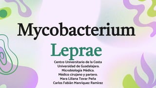 Mycobacterium
Leprae
Centro Universitario de la Costa
Universidad de Guadalajara.
Microbiología Médica.
Médico cirujano y partero.
Mara Liliana Tovar Peña
Carlos Fabián Manríquez Ramírez
 