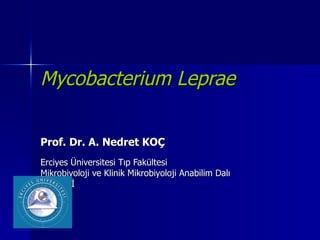 Mycobacterium Leprae

Prof. Dr. A. Nedret KOÇ
Erciyes Üniversitesi Tıp Fakültesi
Mikrobiyoloji ve Klinik Mikrobiyoloji Anabilim Dalı
KAYSERİ
 