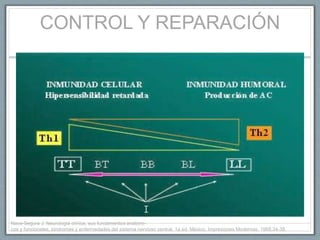 CONTROL Y REPARACIÓN
Nava-Segura J. Neurología clínica, sus fundamentos anatómi-
cos y funcionales, síndromes y enfermedades del sistema nervioso central. 1a ed. México: Impresiones Modernas, 1968;34-38.
 