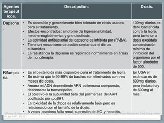 Agentes
terapéut
icos.
Descripción. Dosis.
Dapsone
.
• Es accesible y generalmente bien tolerado en dosis usadas
para el tratamiento.
• Efectos encontrados: sindrome de hipersensibilidad,
metahemoglobinemia, y granulocitosis.
• La actividad antibacterial del dapsone es inhibida por (PABA).
• Tiene un mecanismo de acción similar que el de las
sulfamides.
• La resistencia la dapsone es reportada normalmente en áreas
de monoterapia.
100mg diarios es
débil bactericida
contra la lepra,
pero tanto un a
dosis excédala
concentración
mínima de
inhibición del
organismo por el
factor alrededor
de 500.
Rifampici
na.
• Es el bactericida más disponible para el tratamiento de lepra.
• Se estima que le 99.99% de bacilos son eliminados con tres
meses de dosis.
• Amarra el ADN dependiente ARN polimerasa compuesto,
desconecta la transcripción.
• El objetivo el la subunidad beta del polimerasa del ARN
codificado por rpoB61.
• La toxicidad de la droga es relativamente baja pero es
relacionado con el tamaño de la dosis.
• A veces ocasiona falla renal, supresión de MO y hepatitis.
En USA el
estándar es de
600mg diarios,
pero incluso hay
de 600mg al
mes.
Efficacy of single dose multidrug therapy for the treatment of single-lesion paucibacillary leprosy. Single-lesion Multicentre Trial Group. Indian
J Lepr 1997; 69:121.
 