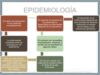 EPIDEMIOLOGÍA
El medio de transmisión
no se entiende
completamente.
La enfermedad
probablemente se
propaga por vía
respiratoria.
Una vez que el tracto
respiratorio superior de la
nueva sede está
infectado, puede producir
una amplia difusión dentro
del huésped.
De vez en cuando, los
organismos pueden entrar
a través de la piel
lesionada.
El contacto con armadillos
(manipulación, matanza, o
comer) se ha reportado en
algunos casos.
En general, la mayoría de
las personas no
desarrollan la enfermedad
después de la exposición.
El desarrollo de la
enfermedad depende de
una variedad de factores,
incluyendo el estado
inmunológico y las
influencias genéticas.
Rodríguez L, Lockwood D. Leprosy now: epidemiology, progress, challenges and research gaps. Lancet Infect Dis 2001;11:464-470.
 