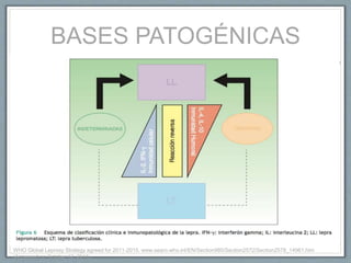 BASES PATOGÉNICAS
WHO Global Leprosy Strategy agreed for 2011-2015. www.searo.who.int/EN/Section980/Section2572/Section2578_14961.htm
(Accessed on October 12, 2011).
 