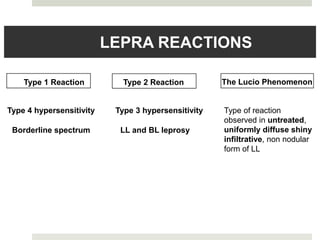 Lepra reactions ketki.pptx