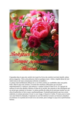 Cependant dans le pays des zariéré mis à part les livres des zariérés tout était interdit, même
picsou magazine. Alors cette princesse était en quelques mots « idiote, stupide dénué de tout
relativisme et de toute connaissance altruiste et modérée ».
Le prince était terriblement effrayé de se voir finir comme ses semblables dans une petite
boîte. Dans le pays des zariérés, il existait des machines effrayantes qui servaient
majoritairement à « nettoyer, tout nettoyer » comme le disait si bien le roi. Il s’agissait de
nettoyer la terre des déchets, détritus et rebus de la société, des ennemis et des intelligents qui
ne savent que contester et inventer. Le prince profita du calme de la nuit pour monter sur son
cheval multicolore et fuir ce pays cauchemardesque. Il attendit patiemment que tous soient
endormis et comme personne n’avait vu son visage, il réussit à s’enfuir. Il couru jours et nuits
son cœur battait la chamade, il repensait en son fort intérieur à toutes ses horreurs entendues
et commises et se promis de revenir avec une armée, pour soulager ce pays de ce petit homme
furieux.
 