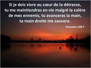 Le Probleme Avec La Souffrance