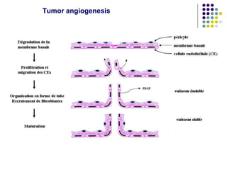 Tumor angiogenesis
 