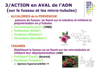 3/ACTION en AVAL de l’ADN
(sur le fuseau et les micro-tubules)
— ALCALOIDES de la PERVENCHE
— poisons du fuseau: se fixent sur la tubuline et inhibent la
polymérisation en µ°tubules
 Vincristine(Oncovin*) (1960)
 Vinblastine (Velbé*)
 Vindésine (Eldisine*)
 Vinorelbine (Navelbine*)
— TAXANES
— Stabilisent le fuseau en se fixant sur les microtubules et
inhibent leur dépolymérisation (1990)
 Paclitaxel (Taxol*) (écorce)
 Docétaxel (Taxotère*)
 (épines) hypersensibilité ++
 