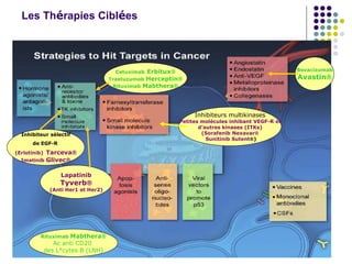 Les Thérapies Ciblées
Cetuximab Erbitux
Trastuzumab Herceptin
Rituximab Mabthera
Inhibiteur sélectif
de EGF-R
(Erlotinib) Tarceva
Imatinib Glivec
Lapatinib
Tyverb
(Anti Her1 et Her2)
Bevacizumab
Avastin
Inhibiteurs multikinases
Petites molécules inhibant VEGF-R et
d’autres kinases (ITKs)
(Sorafenib Nexavar
Sunitinib Sutent)
Rituximab Mabthera
Ac anti CD20
des L°cytes B (LNH)
 