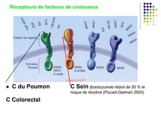 Récepteurs de facteurs de croissance
 C du Poumon C Sein (trastuzumab réduit de 50 % le
risque de récidive (Piccart-Gebhart 2005)
C Colorectal
 