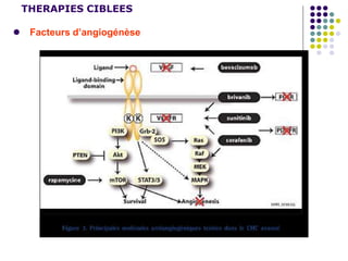 THERAPIES CIBLEES
 Facteurs d’angiogénèse
 