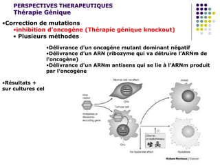 PERSPECTIVES THERAPEUTIQUES
Thérapie Génique
•Correction de mutations
•inhibition d’oncogène (Thérapie génique knockout)
• Plusieurs méthodes
•Délivrance d’un oncogène mutant dominant négatif
•Délivrance d’un ARN (ribozyme qui va détruire l’ARNm de
l’oncogène)
•Délivrance d’un ARNm antisens qui se lie à l’ARNm produit
par l’oncogène
•Résultats +
sur cultures cel
 