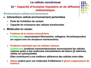 La cellule cancéreuse
6/- Capacité d’invasion tissulaire et de diffusion
métastatique.
Interactions cellule-environnement
 Interactions cellule-environnement perturbées
 Perte de l’inhibition de contact
 Capacité de croissance des cellules transformées
 Molécules en cause:
 Protéines de la matrice extracellulaire
= Intégrines: reconnaissent fibronectine, collagène, thrombospondine
(en rapport avec les récepteurs membranaires)
 Protéines exprimées par les cellules voisines
Cadhérines: protéines transmembranaires reconnaissent les cellules
voisines grâce à des molécules intracellulaires de liaison (β caténines
reliées au cytosquelette)
Elles contribuent à une meilleure adhérence des cellules entre elles
 Gènes codant pour ces molécules d’adhérence = gènes suppresseurs de
tumeurs
 