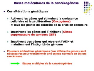 Bases moléculaires de la cancérogénèse
 Ces altérations génétiques
 Activent les gènes qui stimulent la croissance
cellulaire et la prolifération (Oncogènes)
= tous les points de contrôle de la division cellulaire
 Inactivent les gènes qui l’inhibent (Gènes
suppresseurs de tumeurs GST)
 Inactivent des gènes qui réparent l’ADN et
maintiennent l’intégrité du génome
 Plusieurs altérations génétiques (sur différents gènes) sont
nécessaires pour transformer une cellule normale en cellule
cancéreuse
Etapes multiples de la cancérogénèse
 