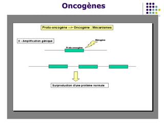 Oncogènes

 