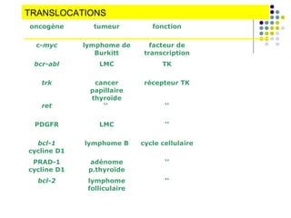 TRANSLOCATIONS
oncogène tumeur fonction
c-myc lymphome de
Burkitt
facteur de
transcription
bcr-abl LMC TK
trk cancer
papillaire
thyroïde
récepteur TK
ret ‘’ ‘’
PDGFR LMC ‘’
bcl-1
cycline D1
lymphome B cycle cellulaire
PRAD-1
cycline D1
adénome
p.thyroïde
‘’
bcl-2 lymphome
folliculaire
‘’
 