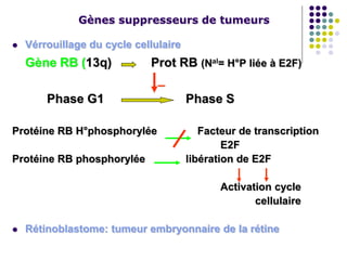 Gènes suppresseurs de tumeurs
 Vérrouillage du cycle cellulaire
Gène RB (13q) Prot RB (Nal= H°P liée à E2F)
_
Phase G1 Phase S
Protéine RB H°phosphorylée Facteur de transcription
E2F
Protéine RB phosphorylée libération de E2F
Activation cycle
cellulaire
 Rétinoblastome: tumeur embryonnaire de la rétine
 