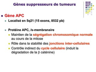 Gènes suppresseurs de tumeurs
 Gène APC
 Localisé en 5q21 (15 exons, 8532 pb)
 Protéine APC, /s-membranaire
 Maintien de la ségrégation chromosomique normale
au cours de la mitose
 Rôle dans la stabilité des jonctions inter-cellulaires
 Contrôle indirect du cycle cellulaire (induit la
dégradation de la  caténine)
 