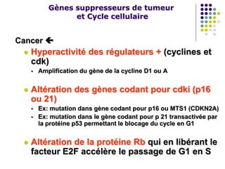 Gènes suppresseurs de tumeur
et Cycle cellulaire
Cancer 
 Hyperactivité des régulateurs + (cyclines et
cdk)
 Amplification du gène de la cycline D1 ou A
 Altération des gènes codant pour cdki (p16
ou 21)
 Ex: mutation dans gène codant pour p16 ou MTS1 (CDKN2A)
 Ex: mutation dans le gène codant pour p 21 transactivée par
la protéine p53 permettant le blocage du cycle en G1
 Altération de la protéine Rb qui en libérant le
facteur E2F accélère le passage de G1 en S
 