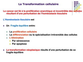 La Transformation cellulaire
Le cancer est lié à la prolifération anarchique et incontrôlée des cellules
résultant d’une perturbation de l’homéostasie tissulaire
L’Homéostasie tissulaire est
 Un Fragile équilibre entre:
 La prolifération cellulaire
 La différenciation ou la spécialisation irréversible des cellules
 L’élimination
 Par sénescence
 Par apoptose
 La transformation néoplasique résulte d’une perturbation de ce
fragile équilibre
 