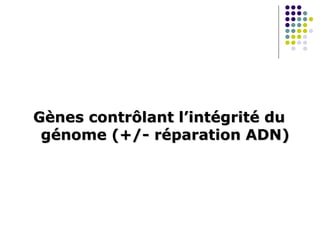 Gènes contrôlant l’intégrité du
génome (+/- réparation ADN)
 