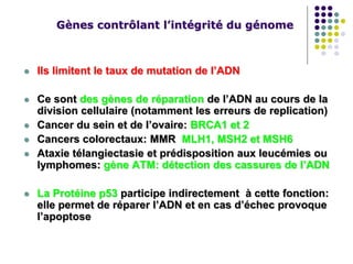 Gènes contrôlant l’intégrité du génome
 Ils limitent le taux de mutation de l’ADN
 Ce sont des gènes de réparation de l’ADN au cours de la
division cellulaire (notamment les erreurs de replication)
 Cancer du sein et de l’ovaire: BRCA1 et 2
 Cancers colorectaux: MMR MLH1, MSH2 et MSH6
 Ataxie télangiectasie et prédisposition aux leucémies ou
lymphomes: gène ATM: détection des cassures de l’ADN
 La Protéine p53 participe indirectement à cette fonction:
elle permet de réparer l’ADN et en cas d’échec provoque
l’apoptose
 