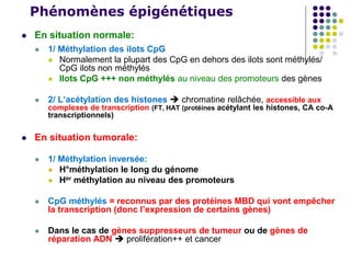Phénomènes épigénétiques
 En situation normale:
 1/ Méthylation des ilots CpG
 Normalement la plupart des CpG en dehors des ilots sont méthylés/
CpG ilots non méthylés
 Ilots CpG +++ non méthylés au niveau des promoteurs des gènes
 2/ L’acétylation des histones  chromatine relâchée, accessible aux
complexes de transcription (FT, HAT (protéines acétylant les histones, CA co-A
transcriptionnels)
 En situation tumorale:
 1/ Méthylation inversée:
 H°méthylation le long du génome
 Her méthylation au niveau des promoteurs
 CpG méthylés = reconnus par des protéines MBD qui vont empêcher
la transcription (donc l’expression de certains gènes)
 Dans le cas de gènes suppresseurs de tumeur ou de gènes de
réparation ADN  prolifération++ et cancer
 