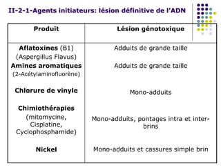 II-2-1-Agents initiateurs: lésion définitive de l’ADN
Produit Lésion génotoxique
Aflatoxines (B1)
(Aspergillus Flavus)
Amines aromatiques
(2-Acétylaminofluorène)
Chlorure de vinyle
Chimiothérapies
(mitomycine,
Cisplatine,
Cyclophosphamide)
Nickel
Adduits de grande taille
Adduits de grande taille
Mono-adduits
Mono-adduits, pontages intra et inter-
brins
Mono-adduits et cassures simple brin
 
