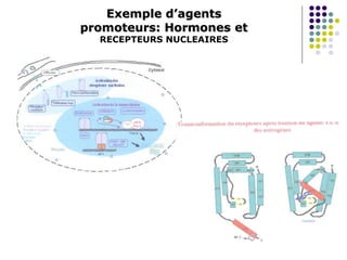 Exemple d’agents
promoteurs: Hormones et
RECEPTEURS NUCLEAIRES
 